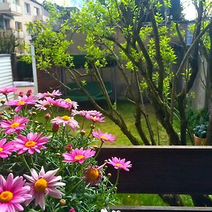 Studio Appartement
